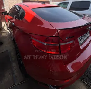 BMW X6 xDrive35i 4x4 Coupe (3.0L 6cyl 8A) 2013 Orange