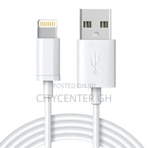 6a Type-c Compatible Apple Data Cable