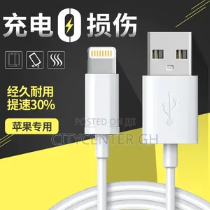6a Type-c Compatible Apple Data Cable