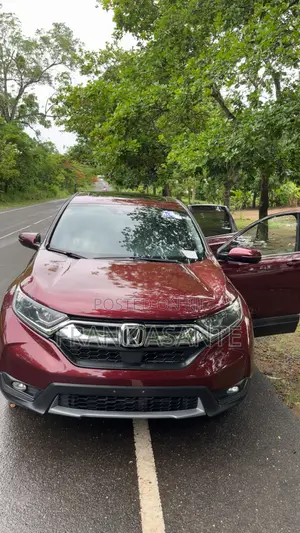 Honda CR-V EX-L AWD 2019 Burgundy