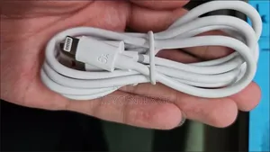 6a Type-c Compatible Apple Data Cable