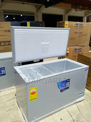 Nexon 400 Litters Chest Freezer