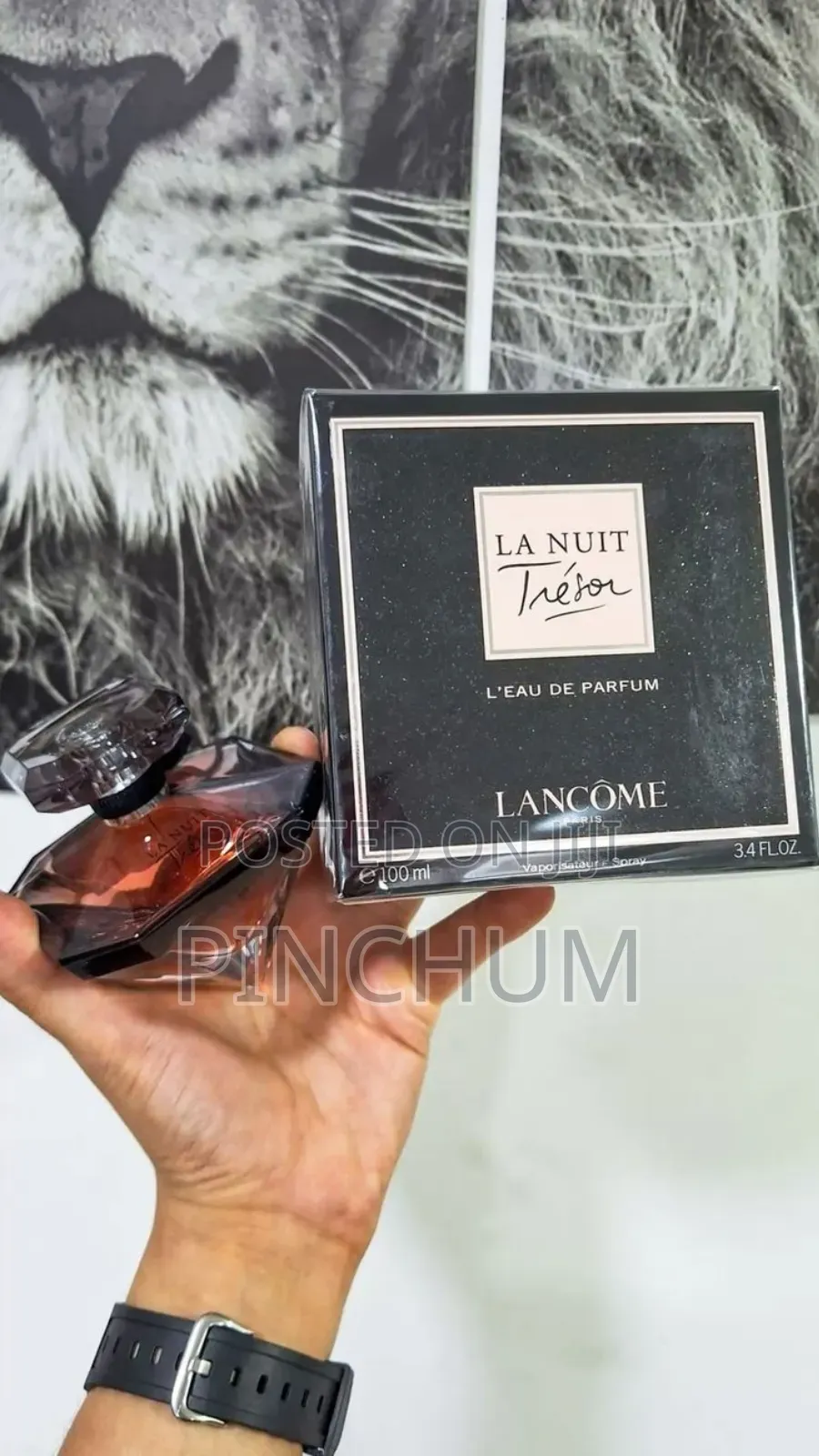La Nuit Trésor