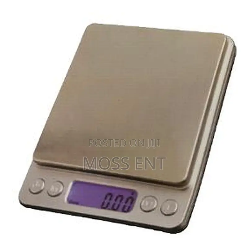 500g Jewelry Scale 0.1g - H300403