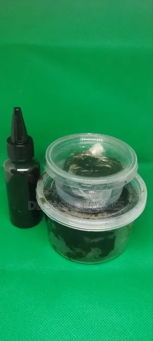 All Purpose Soap And Oil