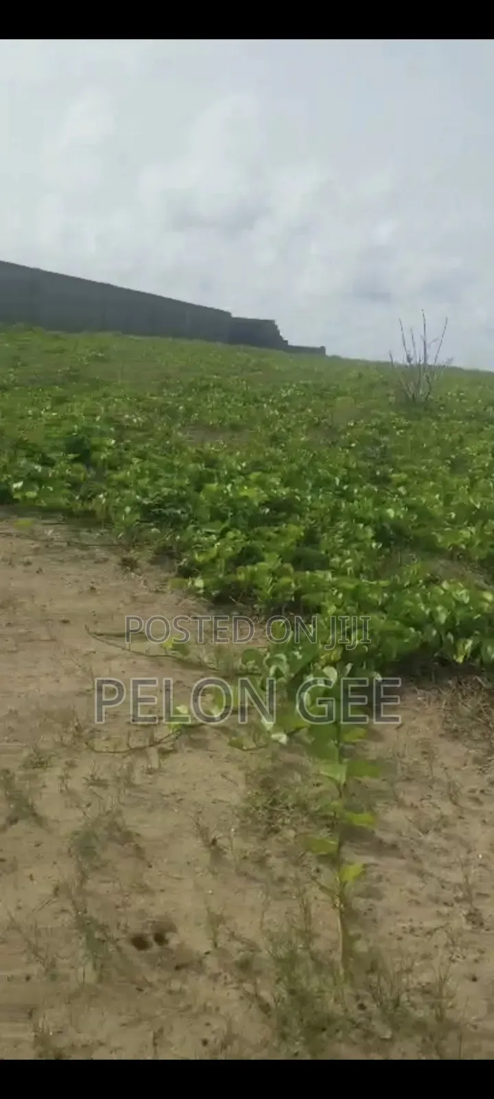 Genuine Registered Four Plots of Land for Sale a Direct Beach Front