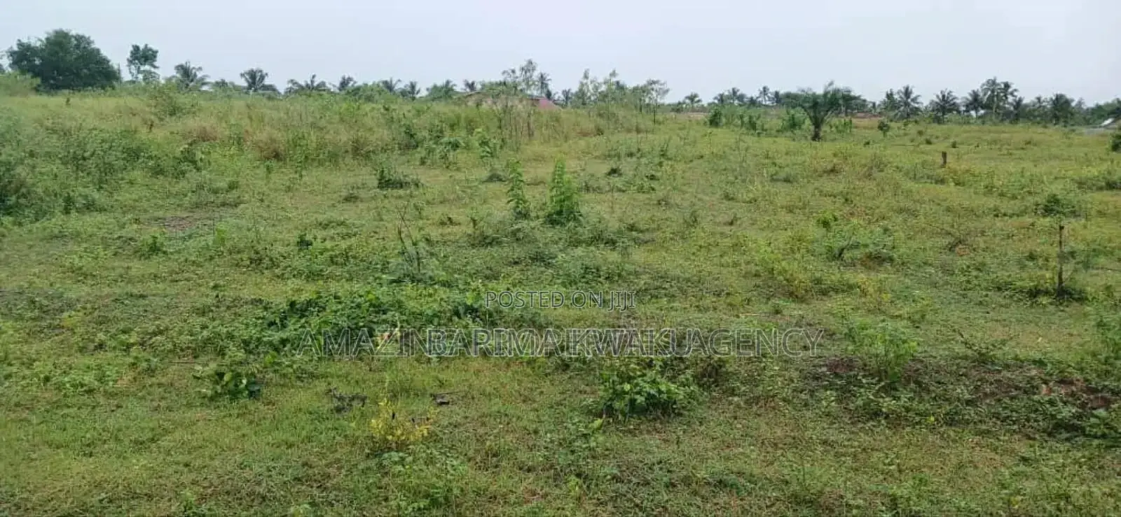3 Plots of Land for Quick Sale