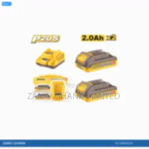 P20s Lithiumion Battery and Charger - Fbcpk2212