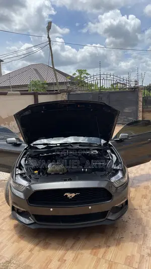 Ford Mustang EcoBoost Premium Fastback 2017 Gray