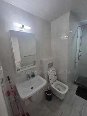 Furnished 1bdrm Apartment in Osu for rent