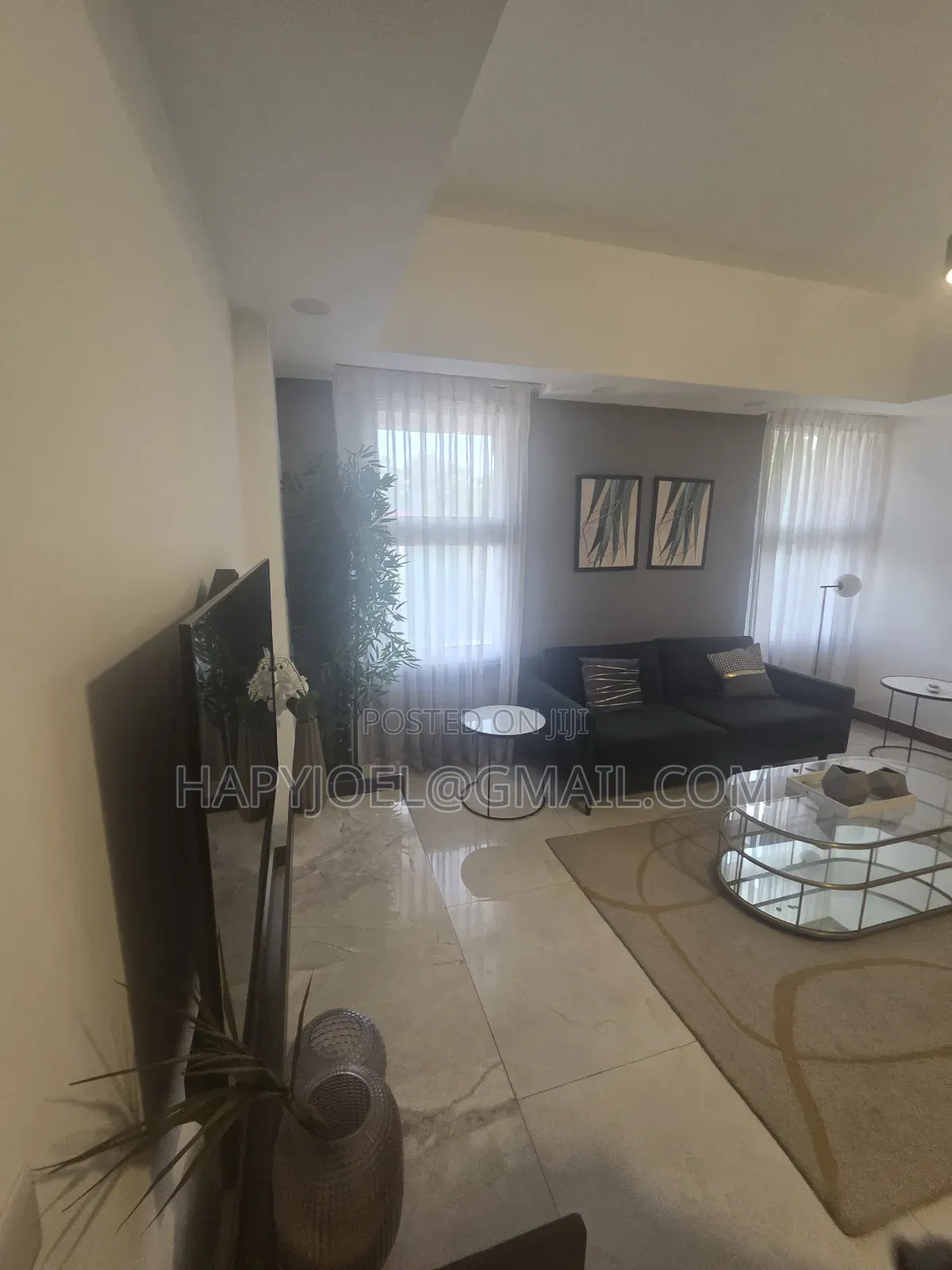 Furnished 1bdrm Apartment in Osu for rent