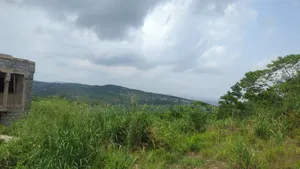 Demarcated Land for Sale at Nsawam, Instalment
