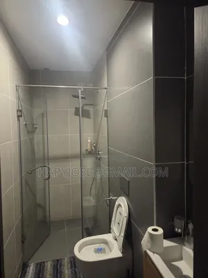 Furnished 1bdrm Apartment in Osu for rent
