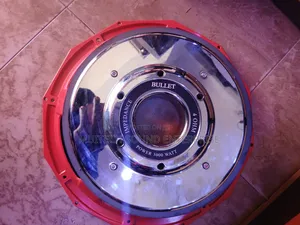 Naked Speaker ( Bullet 18 Inches)