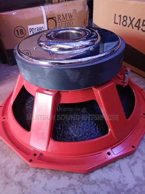 Naked Speaker ( Bullet 18 Inches)