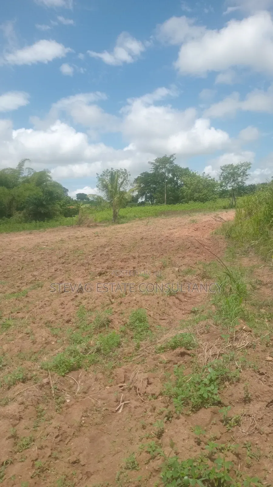 Alpha Land for Sale at Nsawam Ayibontey