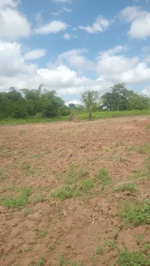 Alpha Land for Sale at Nsawam Ayibontey