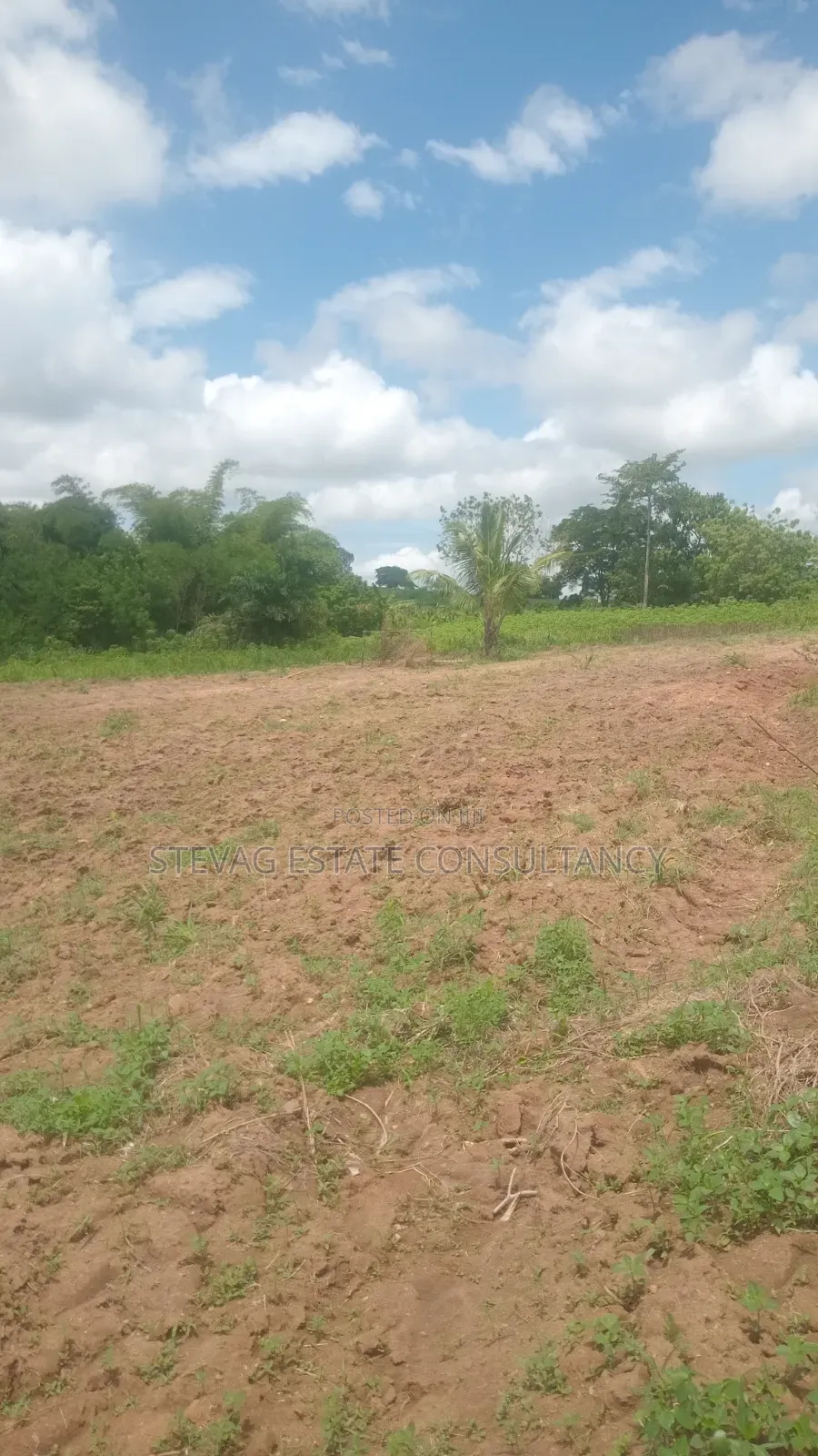 Alpha Land for Sale at Nsawam Ayibontey
