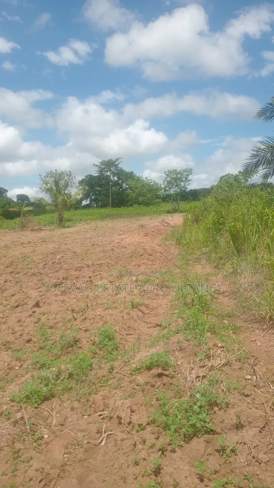 Alpha Land for Sale at Nsawam Ayibontey