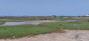 Half Plot for Sale