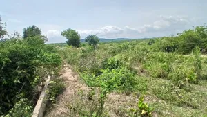 2 Plots of Land at Ojobi for Sale