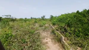 2 Plots of Land at Ojobi for Sale