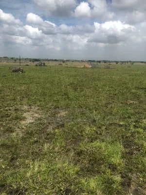 Dispute Free Land at Akwaaba Park (Prampram)