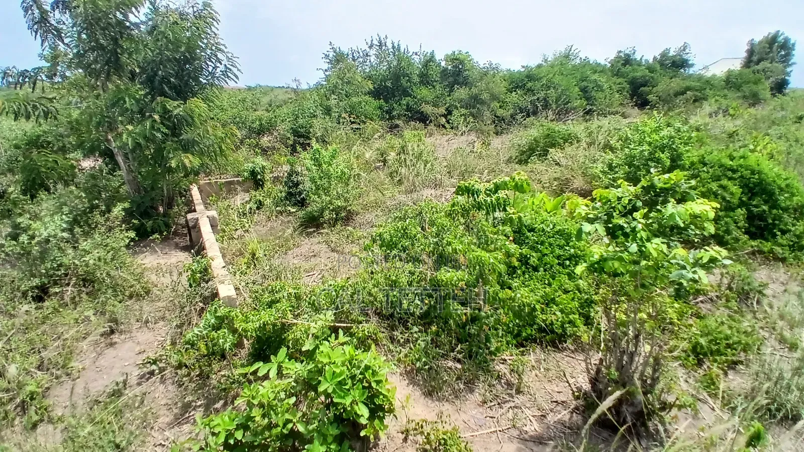 2 Plots of Land at Ojobi for Sale