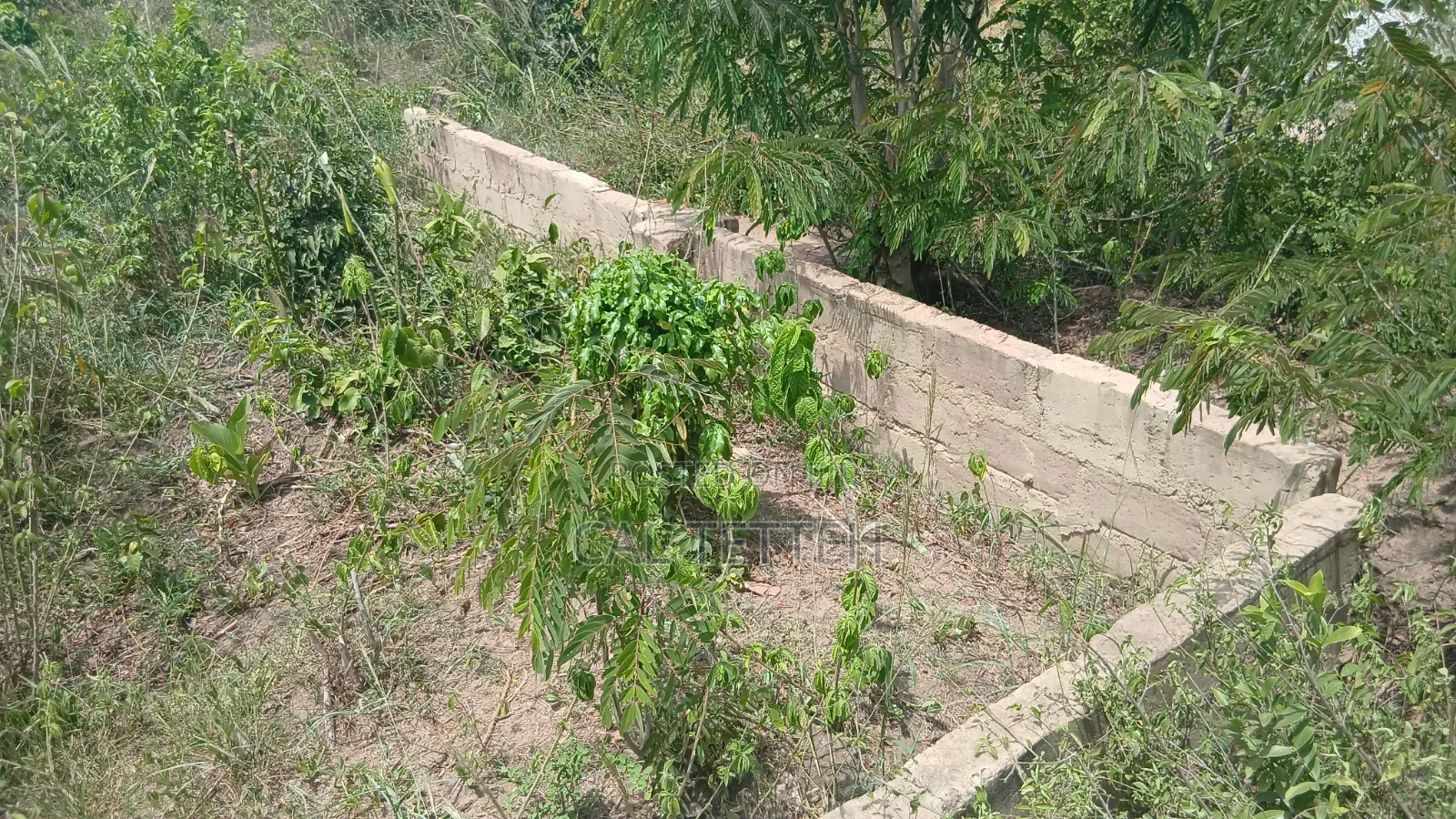2 Plots of Land at Ojobi for Sale