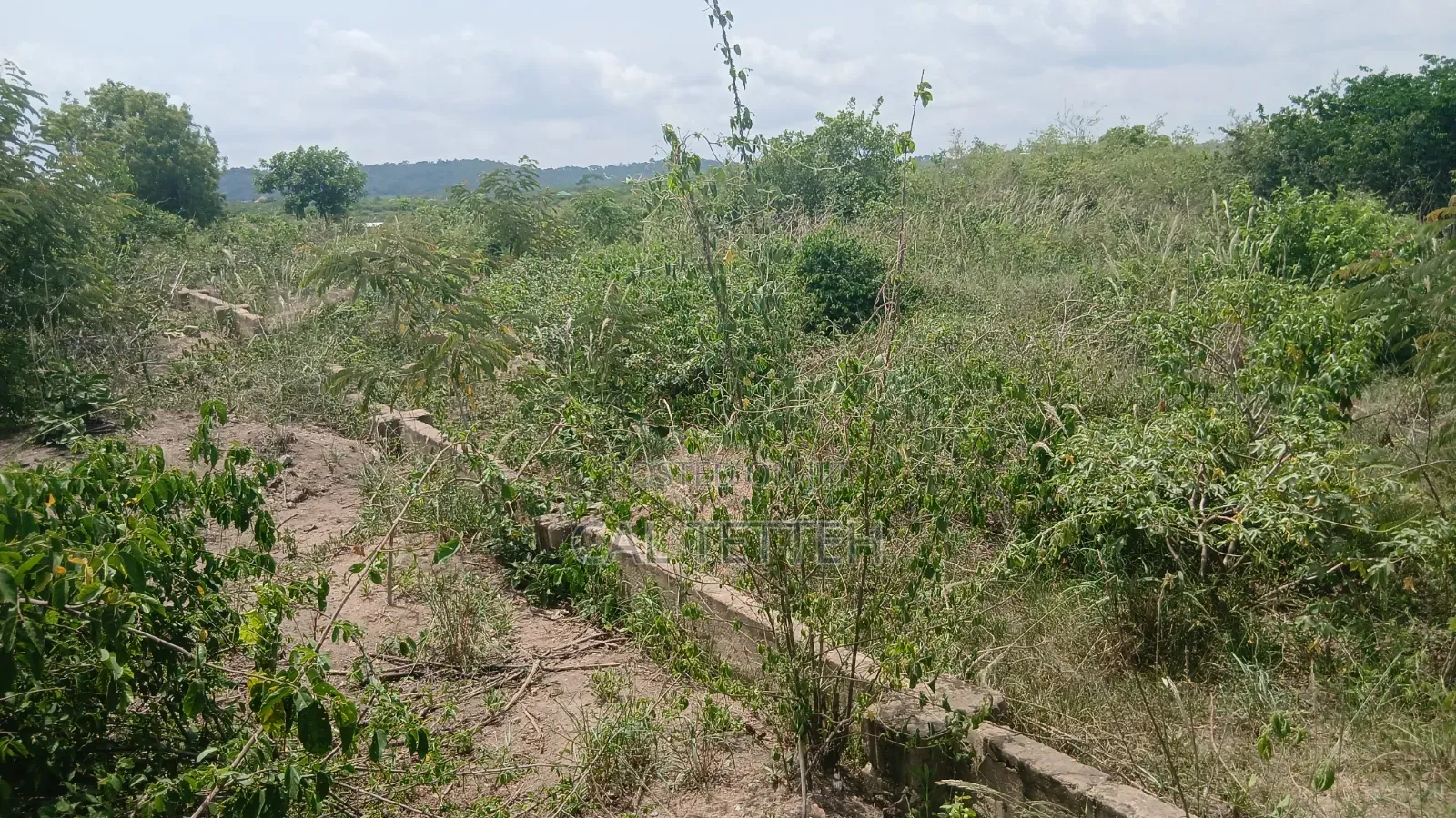 2 Plots of Land at Ojobi for Sale