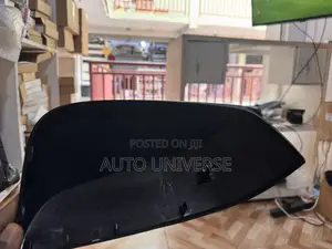 Toyota Rav 4 2019, 2020, 2021, 2022, 2023 to 2024 Mirror Cover