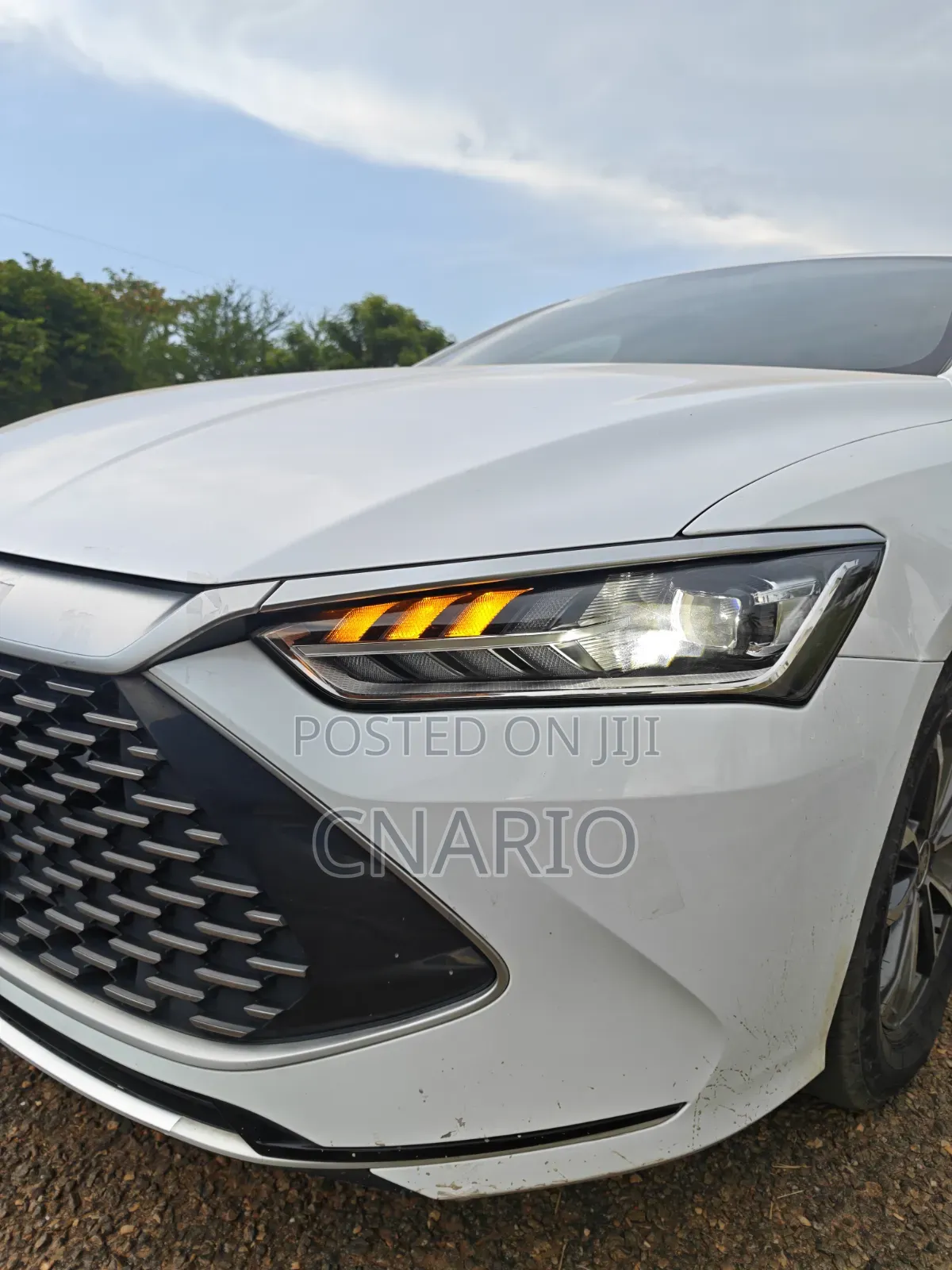 BYD Qin Plus DM-i 2023 White