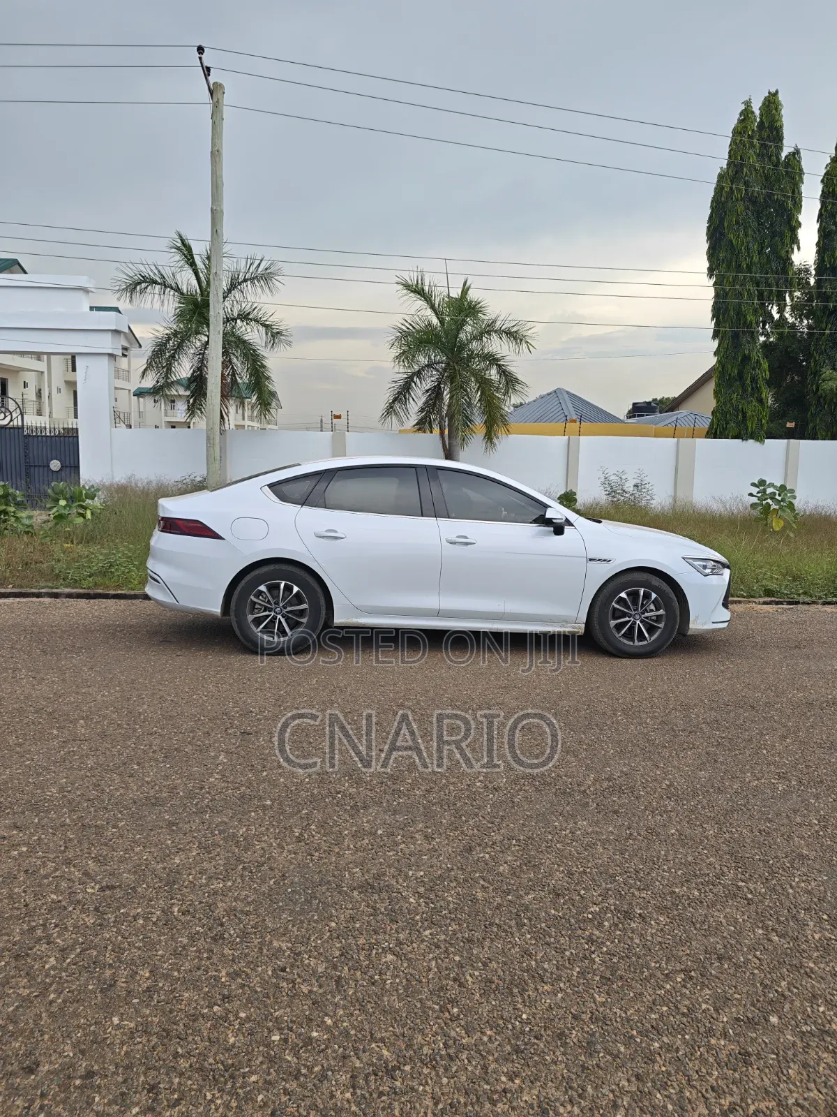 BYD Qin Plus DM-i 2023 White