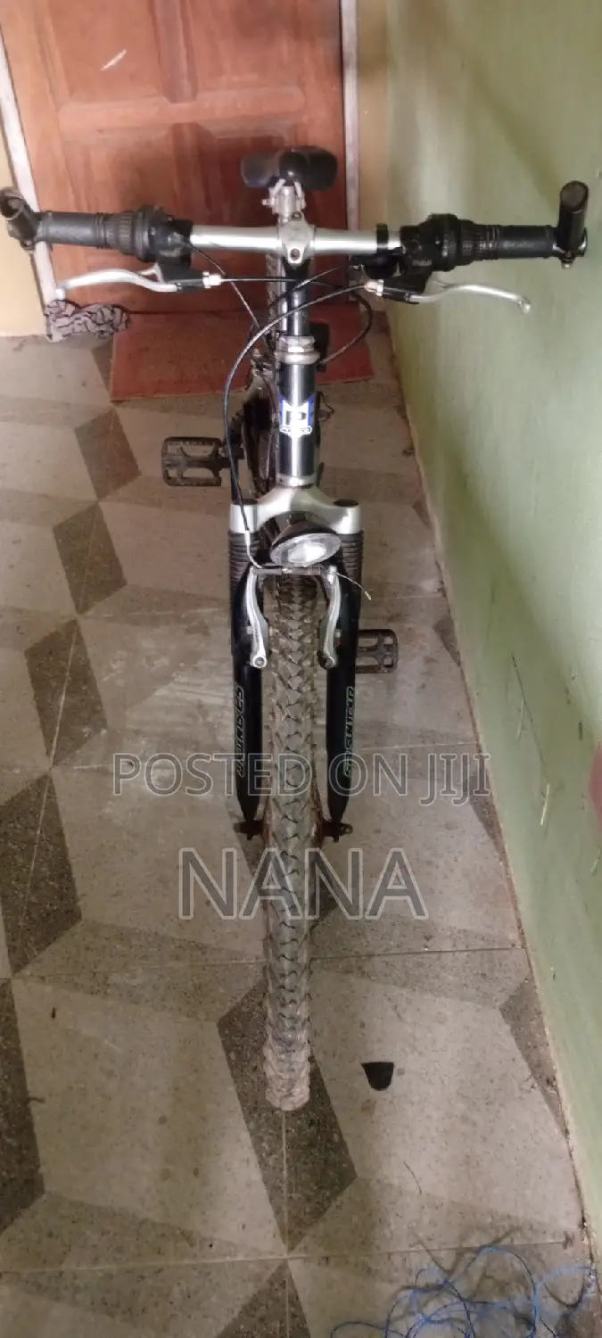 Bicycle Nice