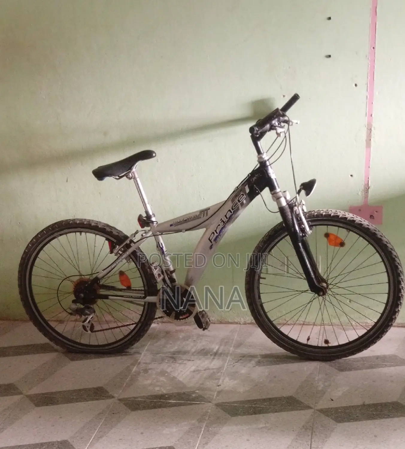 Bicycle Nice