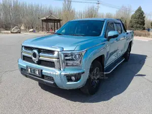Great Wall King Kong Poer 2023 Blue