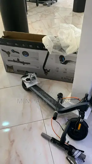 Electric Scooters
