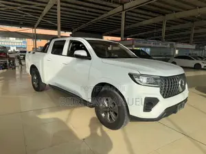 Great Wall King Kong Poer 2024 White