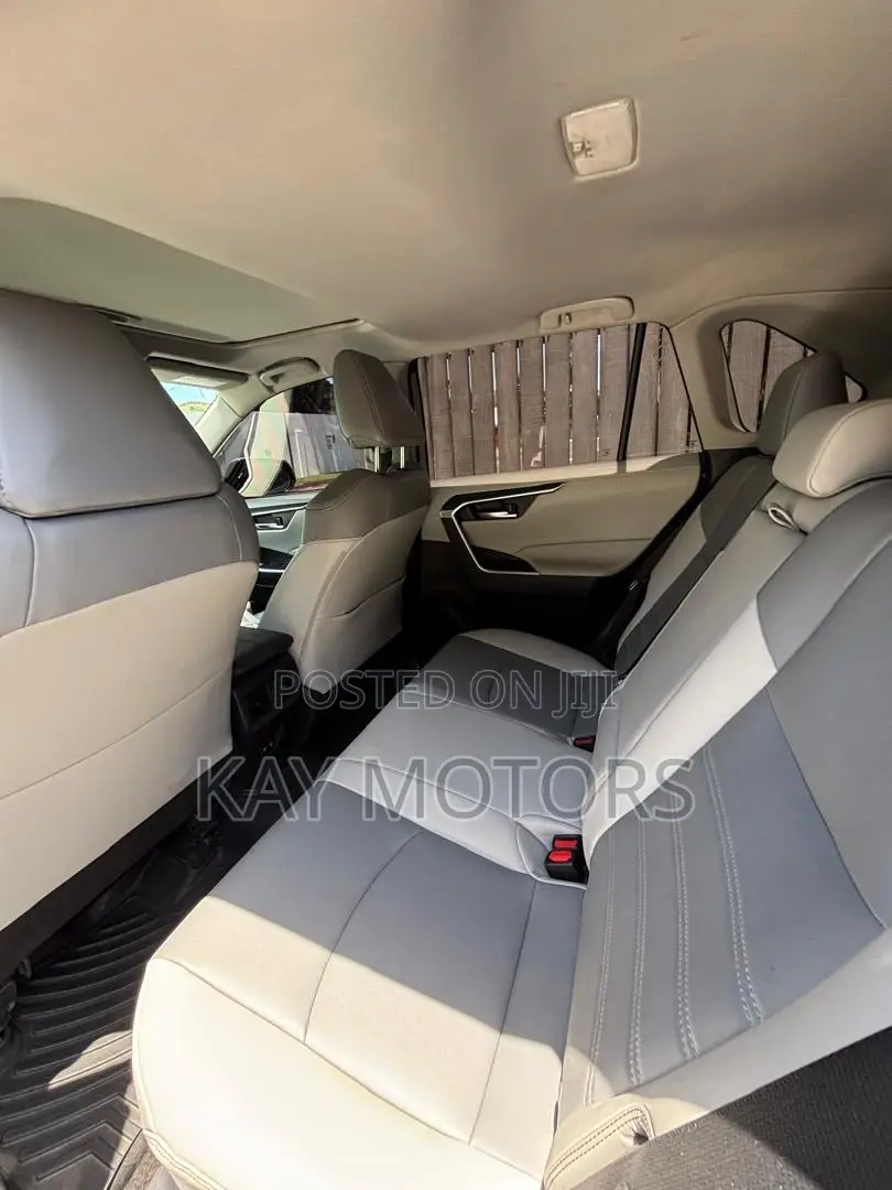 Toyota RAV4 XLE Premium AWD 2020 Gray