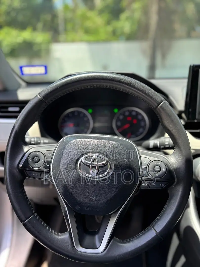 Toyota RAV4 XLE Premium AWD 2020 Gray