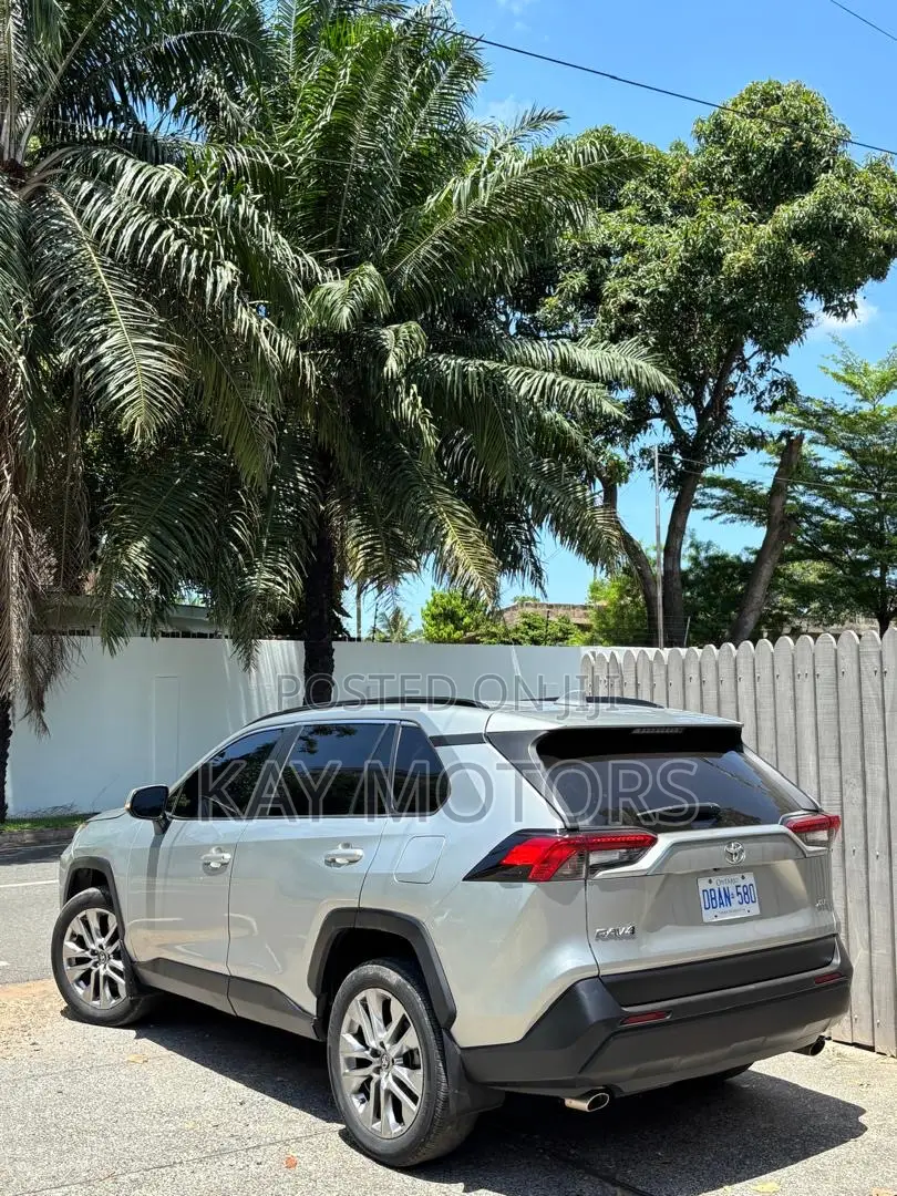 Toyota RAV4 XLE Premium AWD 2020 Gray