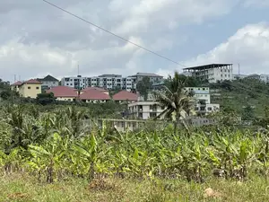 1.5 Acre Berekusu Roadside Plot