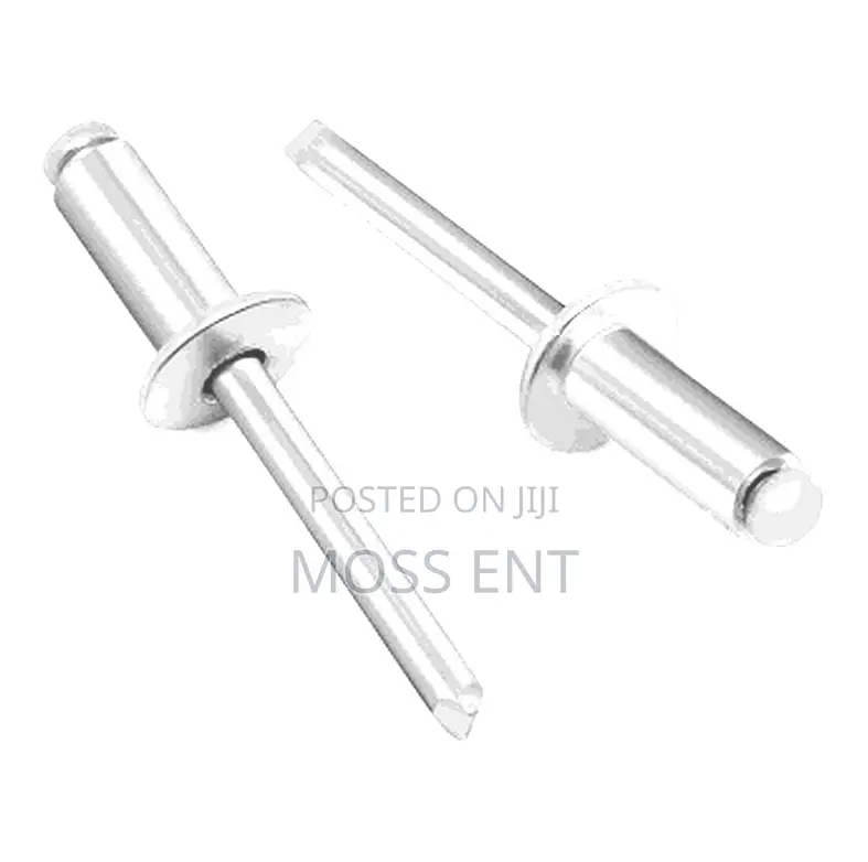 Alu Rivet Pins Silver Or. Pack Pack 4x10 750p/10pk - Oar-s4x10