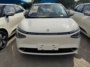 New Dongfeng Nammi 01 2025 White