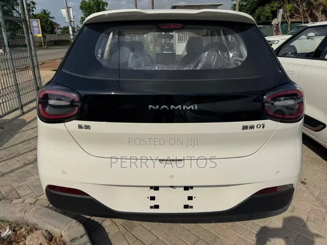 New Dongfeng Nammi 01 2025 White