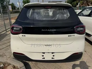 New Dongfeng Nammi 01 2025 White