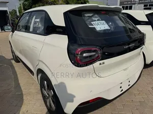 New Dongfeng Nammi 01 2025 White