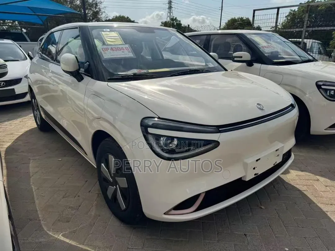 New Dongfeng Nammi 01 2025 White