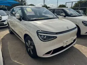 New Dongfeng Nammi 01 2025 White