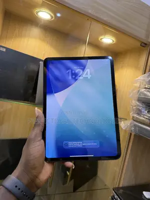Apple iPad Pro 11 (2024) 256 GB Gray